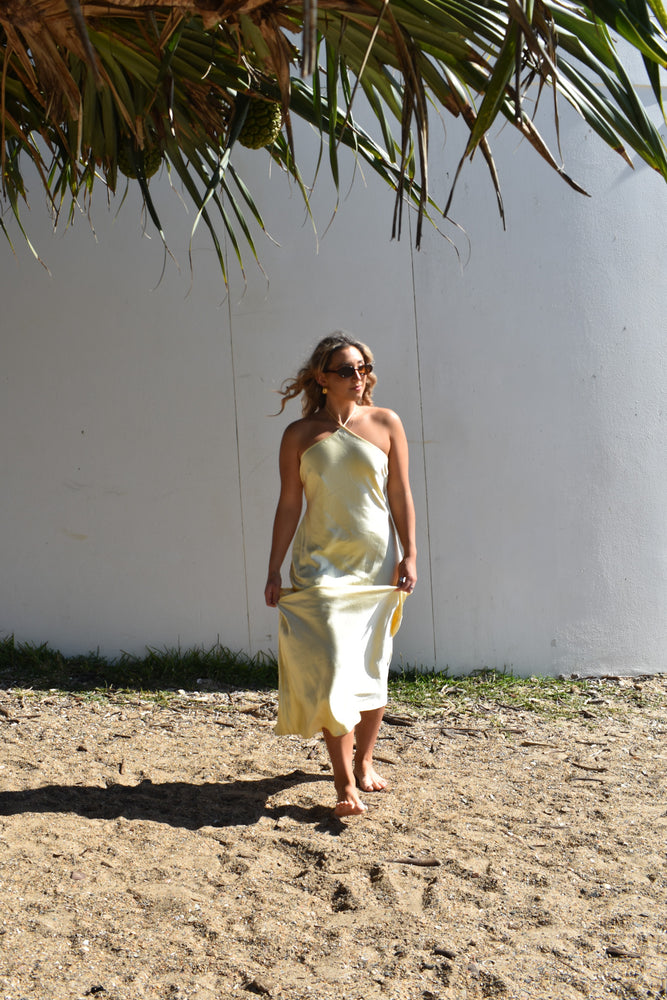 The Hudsen maxi