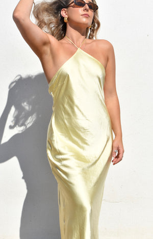 The Hudsen maxi