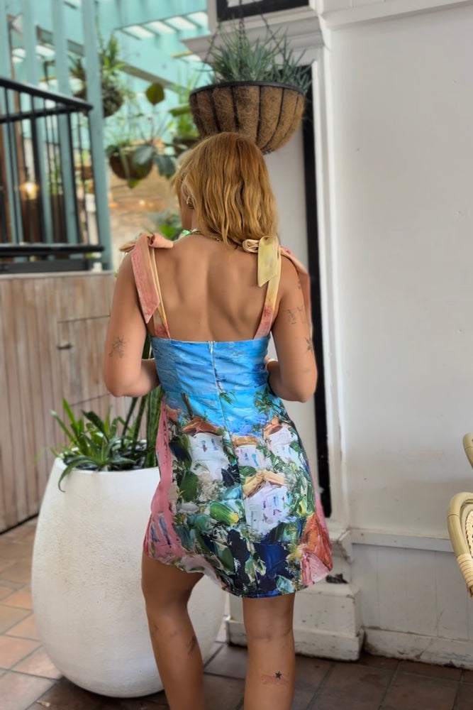 Indi Luxe Mini Dress Euro Painted