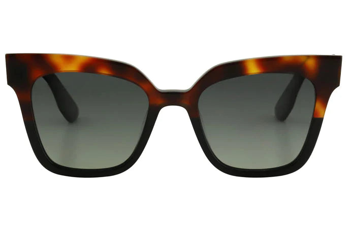 BELLA Sunglasses - Tort to Black/Grey Gradient Polarised