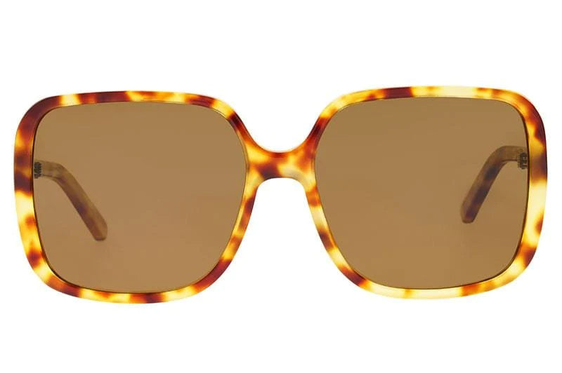 EVERLY Sunglasses - Honey Tort/Brown Polarised